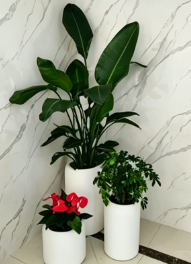 鄞州室内绿植出租推荐-余姚绿植租摆装饰效果-宁波绿化养护施工验收-余姚花卉租赁合同模板